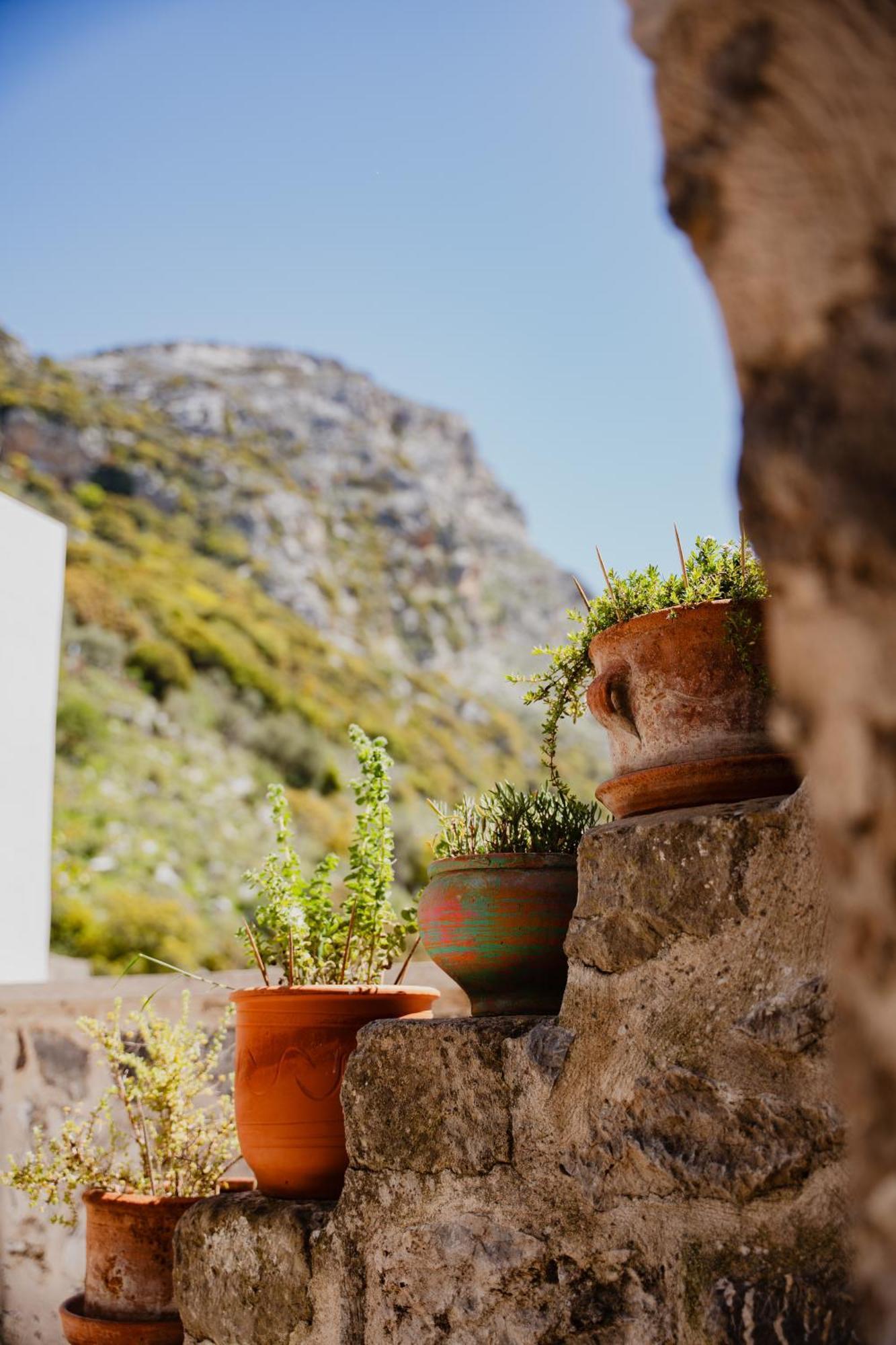 Domus Polymnia, Hospitality At Its Best!