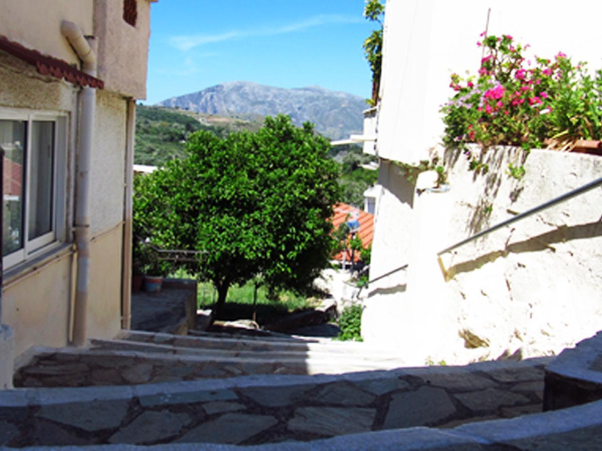 Apartment Domus Polymnia, Hospitality At Its Best!